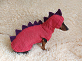 Dinosaur Dragon Costume Sweater and Hat Zoo Animal Clothes