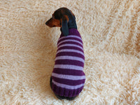 Handmade striped knitted sweater for dog, clothes for dachshund, sweater for dog