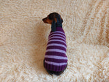 Handmade striped knitted sweater for dog, clothes for dachshund, sweater for dog