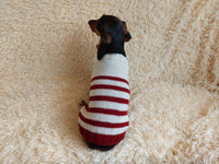 Handmade striped knitted sweater for dog, clothes for dachshund, sweater for dog