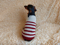 Handmade striped knitted sweater for dog, clothes for dachshund, sweater for dog