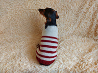 Handmade striped knitted sweater for dog, clothes for dachshund, sweater for dog