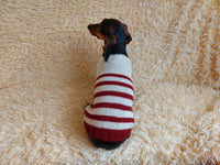 Handmade striped knitted sweater for dog, clothes for dachshund, sweater for dog