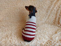 Handmade striped knitted sweater for dog, clothes for dachshund, sweater for dog