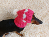 Knitted clothes dog hat with hearts for valentine's day