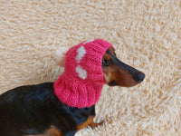 Knitted clothes dog hat with hearts for valentine's day