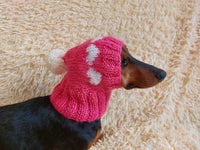 Knitted clothes dog hat with hearts for valentine's day