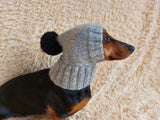 Knitted winter warm hat for a dog with wool down