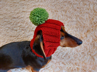 Hat for dog with pompom and holes for the ears