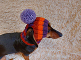 Rainbow striped snood hat for dogs, rainbow hat for dachshunds with open ears