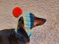 Rainbow striped snood hat for dogs, rainbow hat for dachshunds with open ears