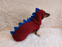 Dinosaur Dragon dog Costume Sweater and Hat Zoo Animal Clothes