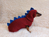 Dinosaur Dragon dog Costume Sweater and Hat Zoo Animal Clothes