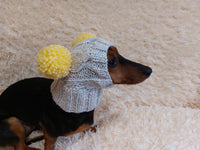 Hat winter pet wool with pompoms,clothes warm hat for dog