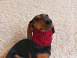 warm winter woolen snood for dog - warm snood for dog with braid on the neck - clothes for a dachshund