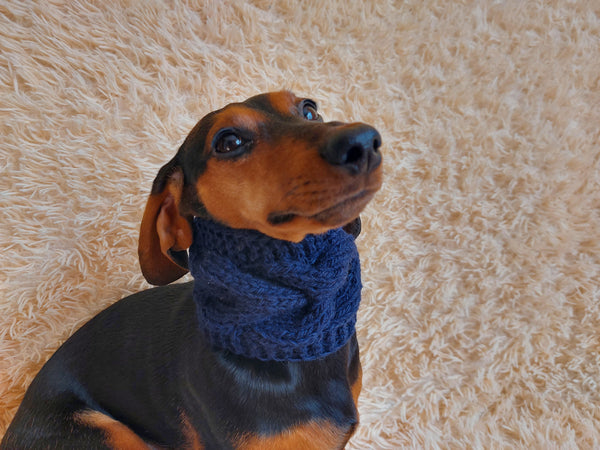 warm winter woolen snood for dog - warm snood for dog with braid on the neck - clothes for a dachshund