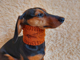 warm winter woolen snood for dog - warm snood for dog with braid on the neck - clothes for a dachshund