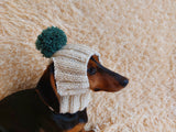 Winter hat for a dog with handmade pom-poms