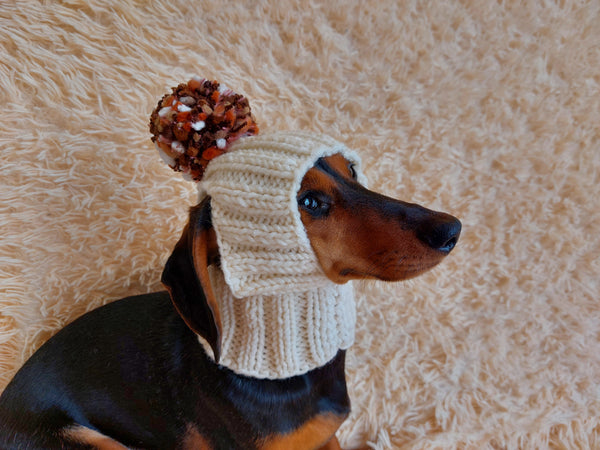 Winter hat for a dog with handmade pom-poms