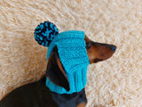 Winter hat for a dog with handmade pom-poms