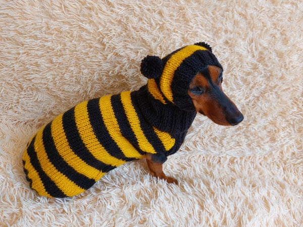 Bee Costume for Pet - Halloween Costume Sweater and Hat - Bee Dachshund Bee Set for Dog Photo Shoot - Dog Halloween Costume for Small Dog