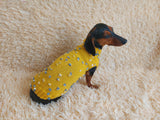 Jumper with flowers for a mini dachshund,Sweater with flowers and butterflies for miniature dachshund or small dog.