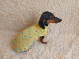 Jumper with flowers for a mini dachshund,Sweater with flowers and butterflies for miniature dachshund or small dog.