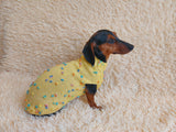 Jumper with flowers for a mini dachshund,Sweater with flowers and butterflies for miniature dachshund or small dog.