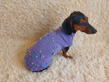 Jumper with flowers for a mini dachshund,Sweater with flowers and butterflies for miniature dachshund or small dog.