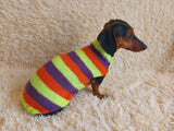 Striped jumper for dogs, sweater for dachshund or small dog.