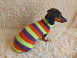 Striped jumper for dogs, sweater for dachshund or small dog.