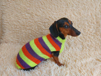 Striped jumper for dogs, sweater for dachshund or small dog.