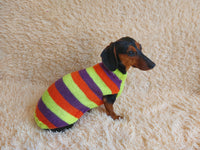 Striped jumper for dogs, sweater for dachshund or small dog.