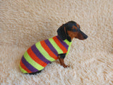 Striped jumper for dogs, sweater for dachshund or small dog.