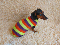 Striped jumper for dogs, sweater for dachshund or small dog.