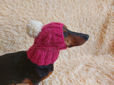 Dog hat with pom poms wool, warm hat for dachshund, wool hat for small dogs