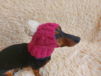 Dog hat with pom poms wool, warm hat for dachshund, wool hat for small dogs