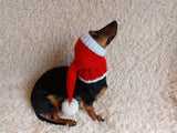 Santa hat for dog, christmas santa hat for dog, santa hat for dachshund