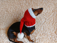 Santa hat for dog, christmas santa hat for dog, santa hat for dachshund