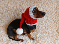 Santa hat for dog, christmas santa hat for dog, santa hat for dachshund