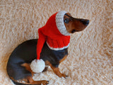 Santa hat for dog, christmas santa hat for dog, santa hat for dachshund