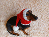 Santa hat for dog, christmas santa hat for dog, santa hat for dachshund