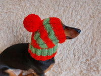 Dog hat with pom poms wool, warm hat for dachshund, wool hat for small dogs