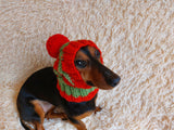 Dog hat with pom poms wool, warm hat for dachshund, wool hat for small dogs