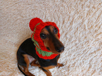 Dog hat with pom poms wool, warm hat for dachshund, wool hat for small dogs