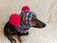 Dog hat with two pom poms wool, warm hat for dachshund, wool hat for small dogs