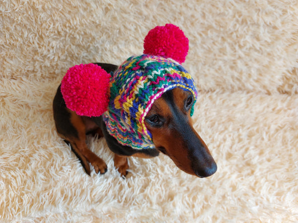 Dog hat with two pom poms wool, warm hat for dachshund, wool hat for small dogs