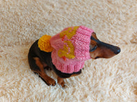 Duck clothes hat for dachshund or small dog