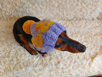 Duck clothes hat for dachshund or small dog