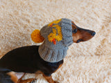 Duck clothes hat for dachshund or small dog